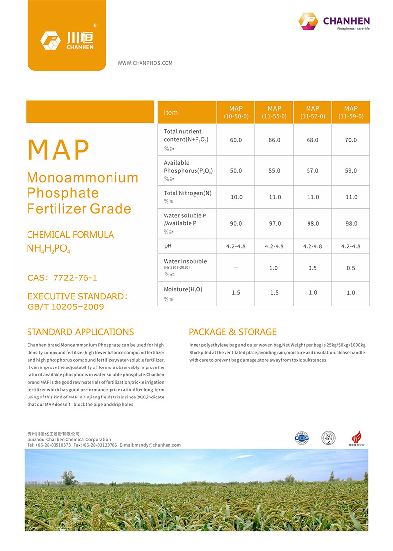 英文網站MAP